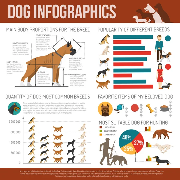 Juego de infografías para perros — Vector de stock