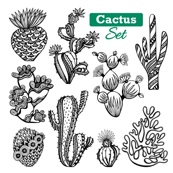 Zestaw ikon kaktus — Wektor stockowy
