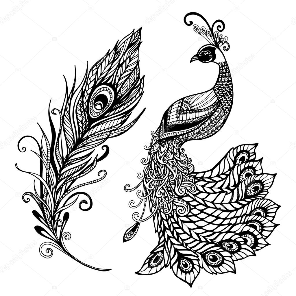 Download Peacock feather design black doodle print — 图库矢量图像© ...