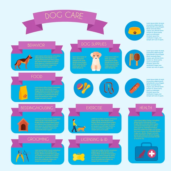 Dog care infographic banner layout — Stock Vector