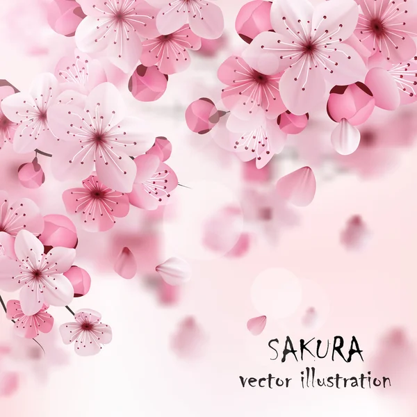 Sakura cerise rose Imprimer — Image vectorielle