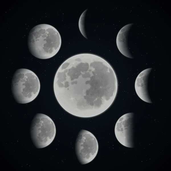 Moon phase set — Stock Vector