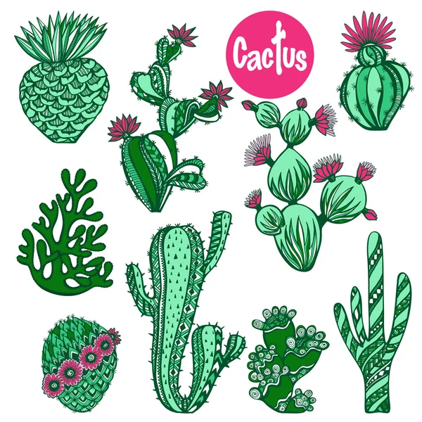 Set de cactus couleur — Image vectorielle