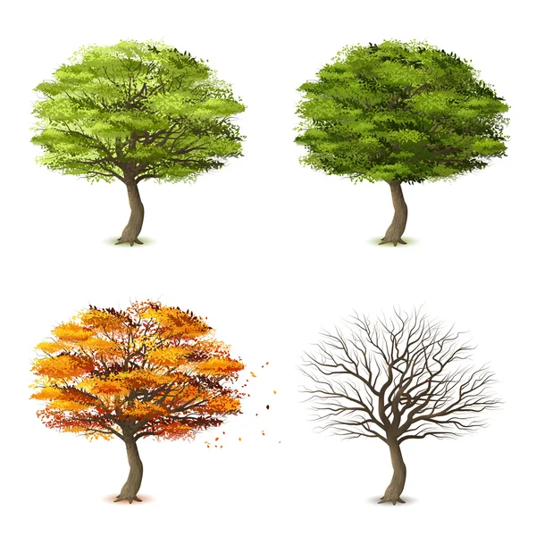 Arbres en quatre saisons — Image vectorielle