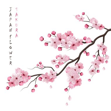 Gerçekçi Sakura şube