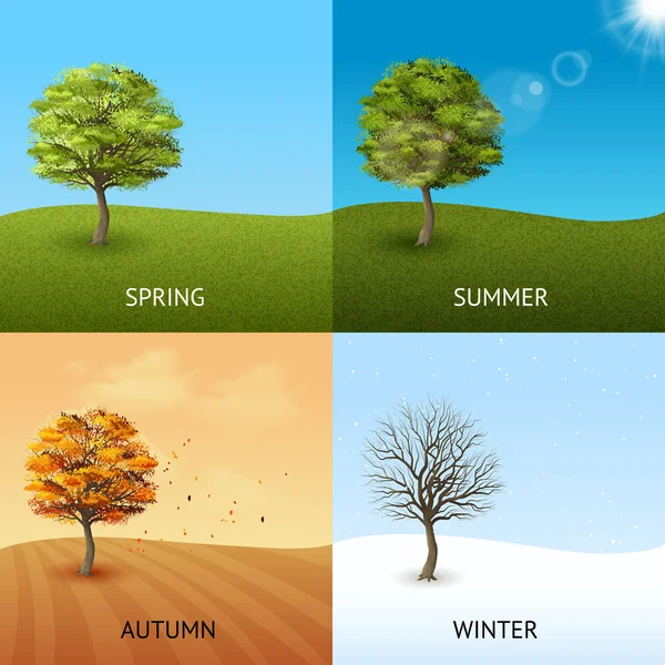 Tree concept set — Stockvector