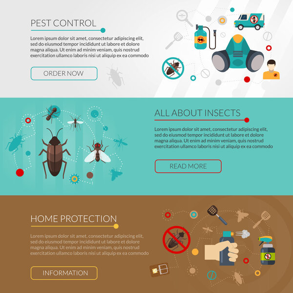 Борьба с вредителями Истребление 3 плоских клещей
