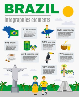 Brazilian Culture Infographic Elements Poster