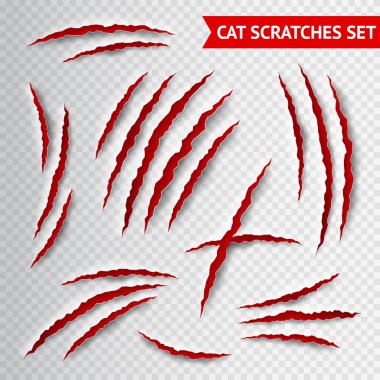 Cat scratches transparent clipart