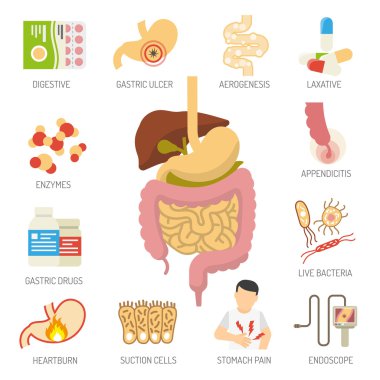 Digestive System Icons Set clipart
