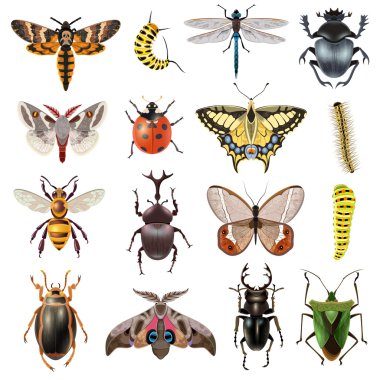 Insects Icons Set clipart