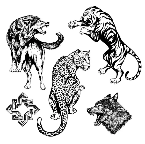 Set Vector Drawings Lions Wild Animals Hand Drawn Sketch — Stock Vector