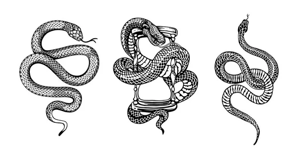 Illustration Vectorielle Serpent — Image vectorielle