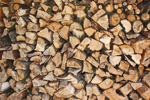 Montón de madera de manzana cortada del jardín —  Fotos de Stock