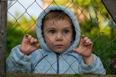 Korkmuş bir yüzle çit tutan bir çocuk. Bahar doğasının arka planına karşı