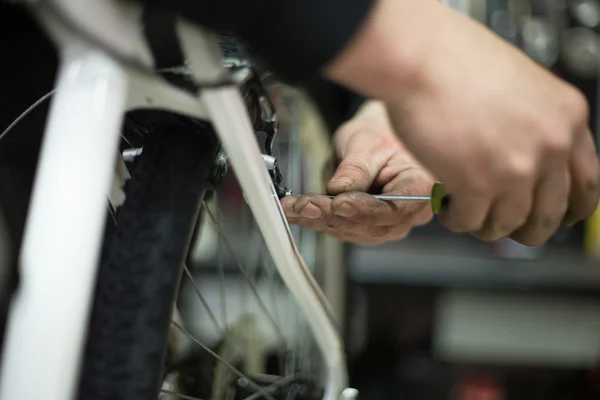 Man repairing a bike — Stock Photo, Image