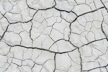 Tuz çöl doku