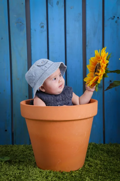 Bambino in vaso da fiori — Foto Stock