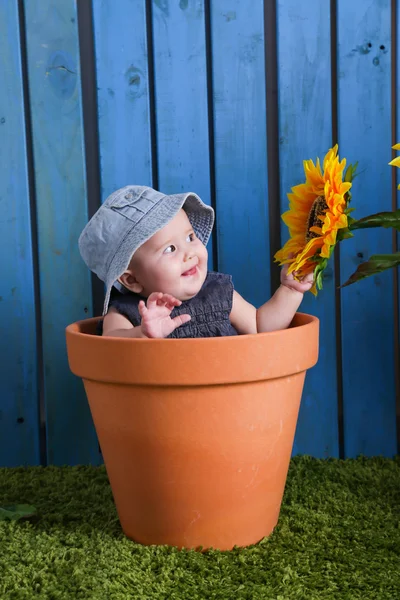 Bambino in vaso da fiori — Foto Stock