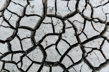 Kuru ve çatlamış zemin. Küresel ısınma kavramı . 