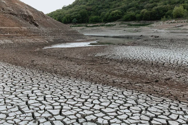 Lake that dry up against the backdrop of trees. Drought. Ecological catastrophy — Stock Photo, Image