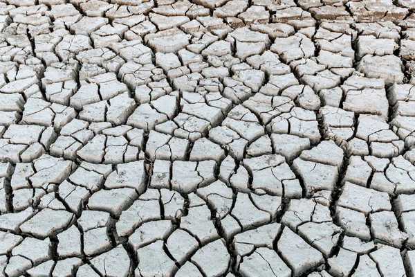 Global warming concept . Dry cracks in the land, serious water shortages. — Stock Photo, Image