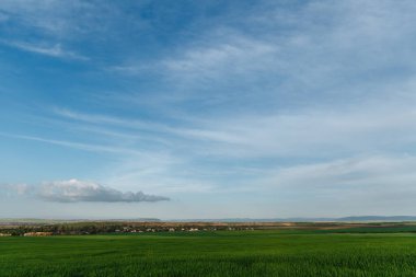 Yeşil tarla ve gökyüzü bulutlu, çimenler bahar arka planında, tarım mısır gevreği