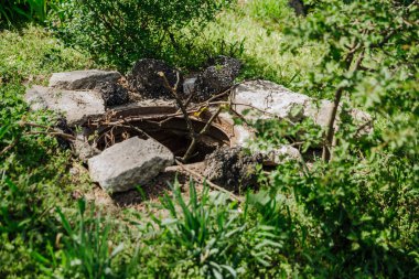 Derin, eski, üstü açık bir rögar kapağı yayalar ve hayvanlar için tehlikelidir. Örtü yerine, kapaktan sarkan ağaç dallarını uyar