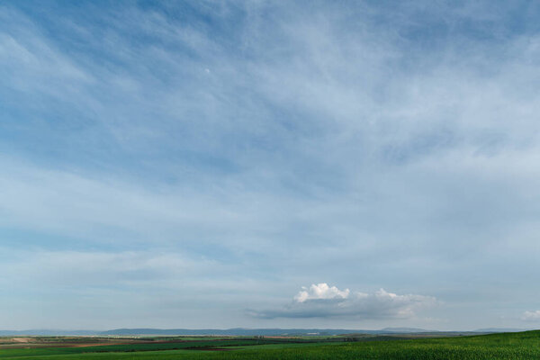 Зеленое поле и небо с облаками, трава весной, сельскохозяйственные зерновые культуры