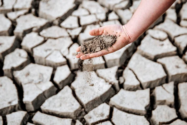 The man is holding the very dry soil in his palm. Concept of soil erosion due to lack of precipitation due to global warming — Stock Photo, Image