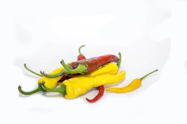 Chili peppar isolerad på vit bakgrund — Stockfoto
