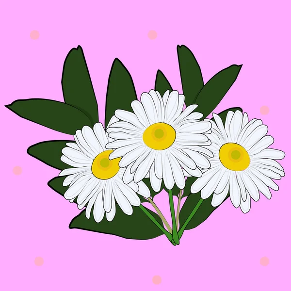 Illustration Bouquet White Chamomile Flowers Internet Design — Stock Photo, Image