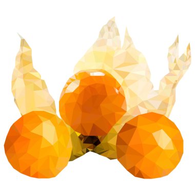 İllüzyon. Physalis, Low Poly tarzında. Üçgenlerin.