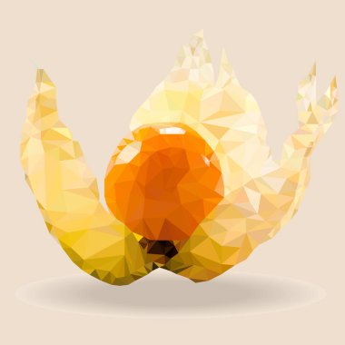 İllüzyon. Physalis Low yalan makinesi. Üçgenlerin. İnternet tasarımı için.