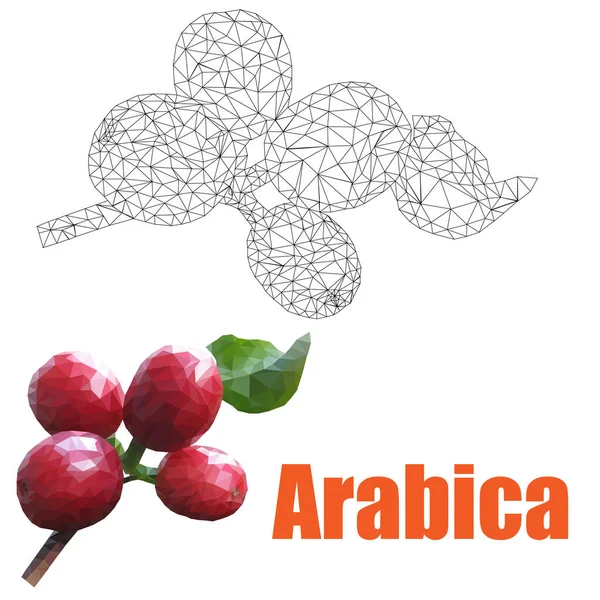 Illustratie Arabica Bessen Twijgen Geometrisch Van Driehoeken Voor Het Ontwerpen — Stockfoto