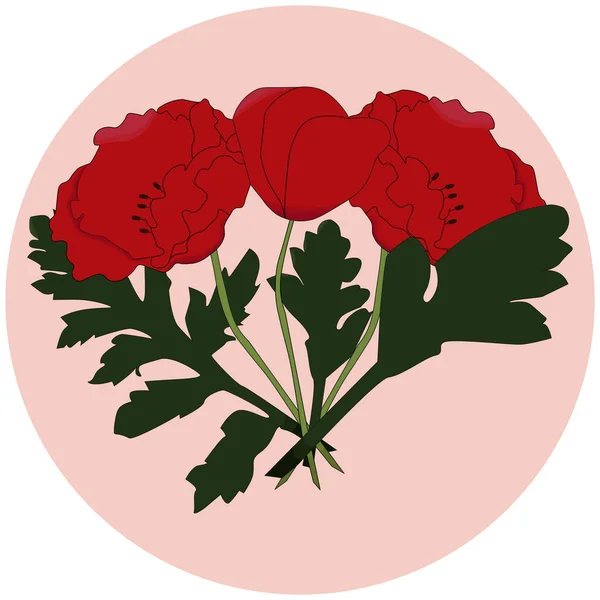 Poppies Rood Met Groene Bladeren Boeket Ansichtkaart Icoon Illustratie — Stockfoto