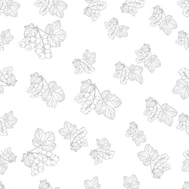 Kusursuz desenler, üzümlü üzümler. Dutların doğrusal çizimi. Görüntü.