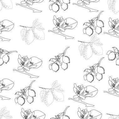 Limonlu, çiçekli ve yapraklı limon dalı. Kusursuz desen. Geçmişi ve dokuları için. Görüntü.