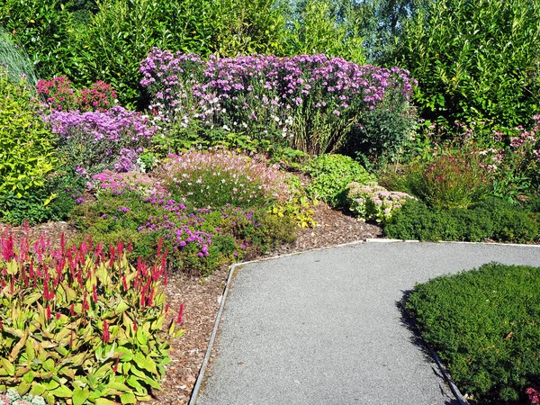 Vägen genom blandade blomgränser i en trädgård — Stockfoto