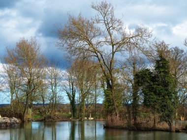 Çırılçıplak kış ağaçları gölet boyunca görünür