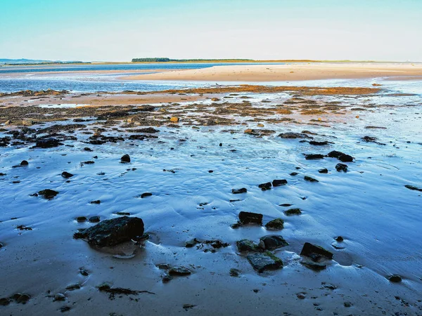 Bamburgh, Northumberland, İngiltere 'deki Sandy ve Stony plajı.