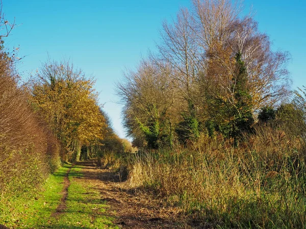 イングランド、イーストヨークシャー、ポッキントンの近くの田舎の歩道で冬の日差し — ストック写真