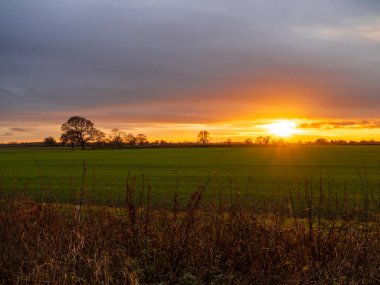 Güneş, Bishopthorpe, Kuzey Yorkshire, İngiltere 'de ekili bir tarlanın ardında batıyor.