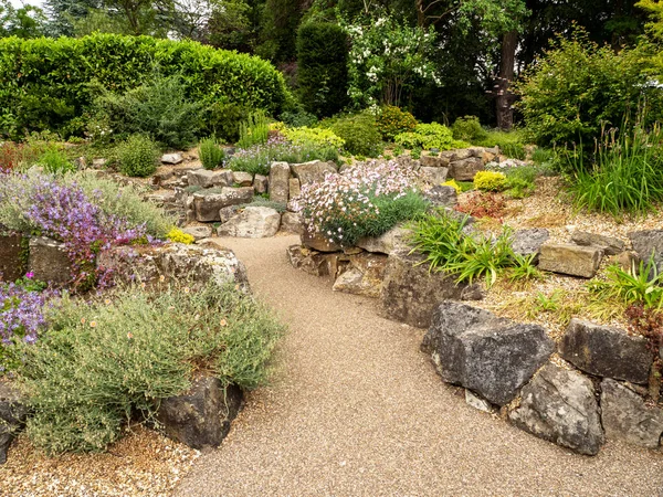 Path through a rock garden with plants and trees — Stock Photo, Image