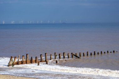 Groynes kıyıda Spurn Point, Doğu Yorkshire, İngiltere