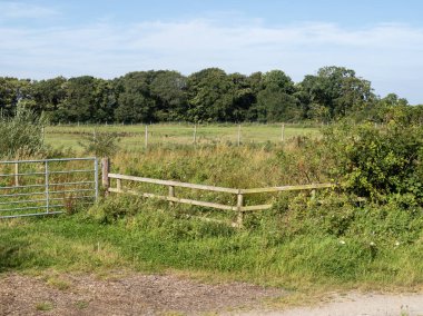 Ahşap çitleri ve arka plandaki ağaçlara açılan metal kapısı olan yeşil bir tarlaya bakın.