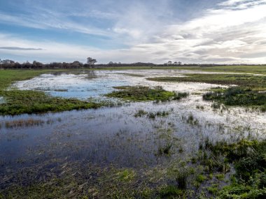Sel basmış çayır ve Cumbria, İngiltere 'de dramatik mavi bulutlu bir gökyüzü