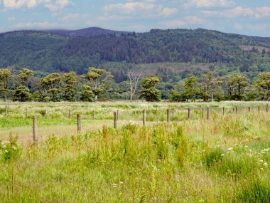 İskoçya 'nın Dumfries ve Galloway kentlerindeki tarlaların, ağaçların ve dağların kırsal manzarası