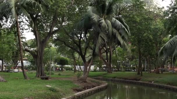 Öffentlicher Park in Bangkok, in dem Menschen rennen. Lumpini-Park — Stockvideo