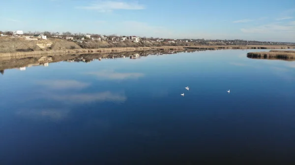 stock image The estuary of a river with blue water. On the bank and in the middle of the river there are dry grass and reeds. There are village with small houses on the shore